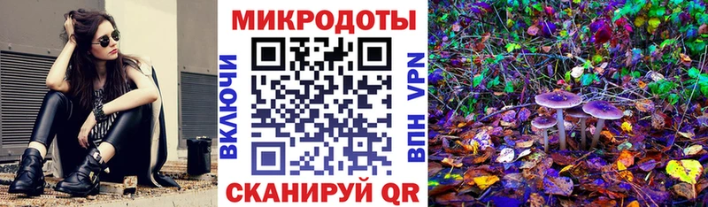 продажа наркотиков  Брюховецкая  Псилоцибиновые грибы мицелий 